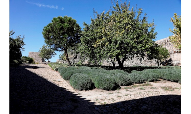 Garden of Marvão Castle