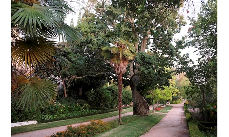Castelo de Abrantes / Outeiro e Jardim de S. Pedro