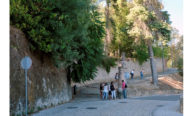 Mata dos Sete Montes