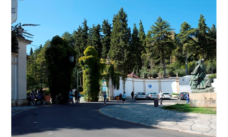 Mata dos Sete Montes