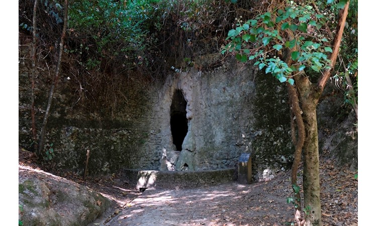 Mata dos Sete Montes