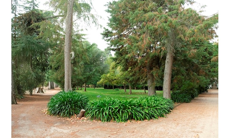 Quinta do Casal Branco