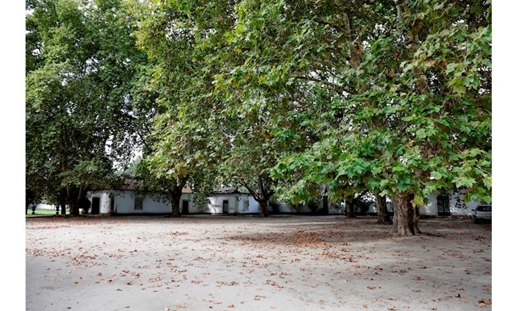 Quinta do Casal Branco