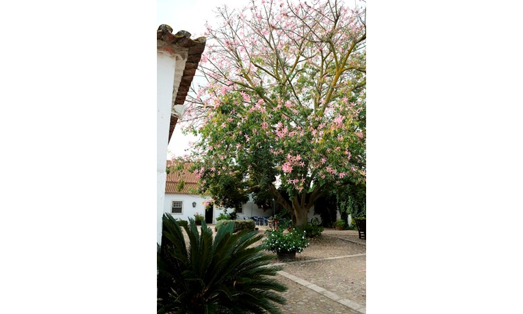 Quinta do Casal Branco