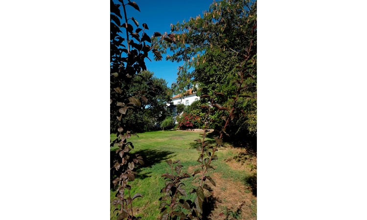 Quinta de Santo António