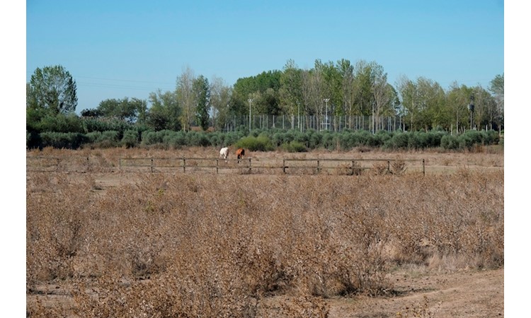 Quinta de Santo António