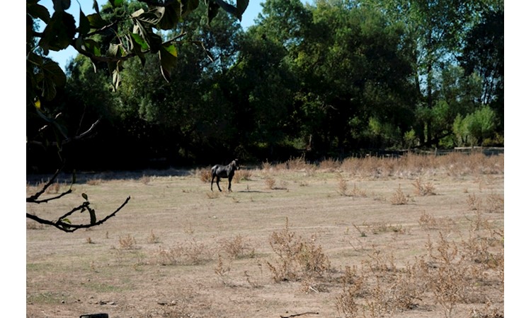 Quinta de Santo António