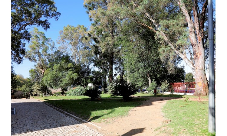 Garden of the Carlos Relvas Home-Studio