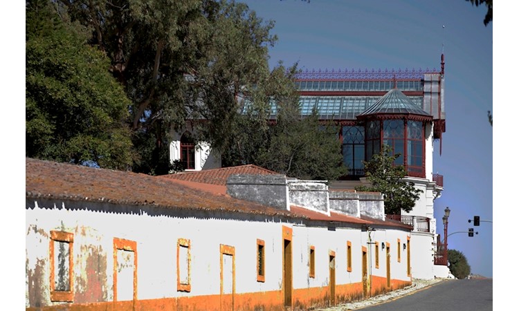 Garden of the Carlos Relvas Home-Studio