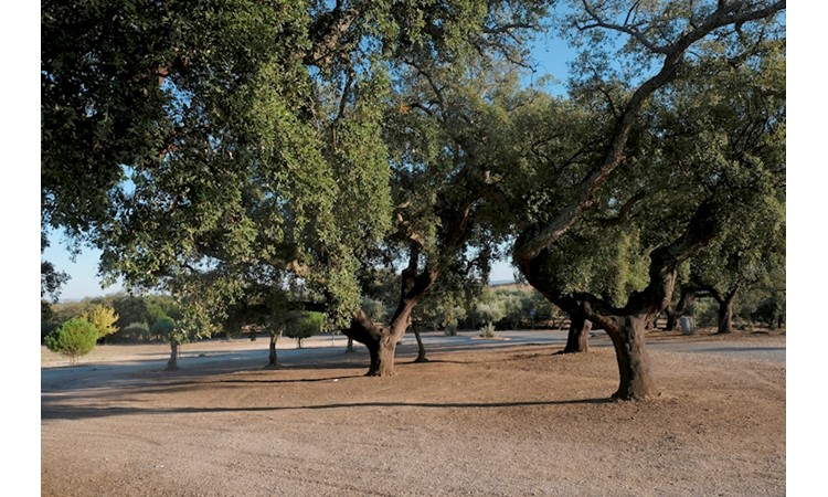 Sanctuary of Nossa Senhora de Mércules