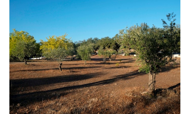 Sanctuary of Nossa Senhora de Mércules