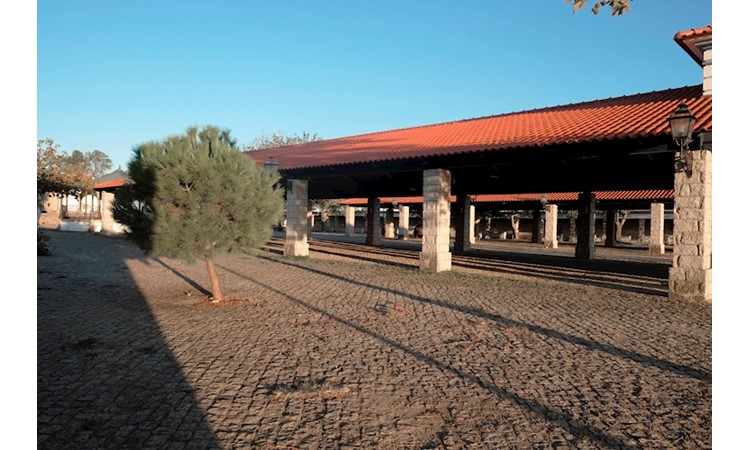 Sanctuary of Nossa Senhora do Almortão