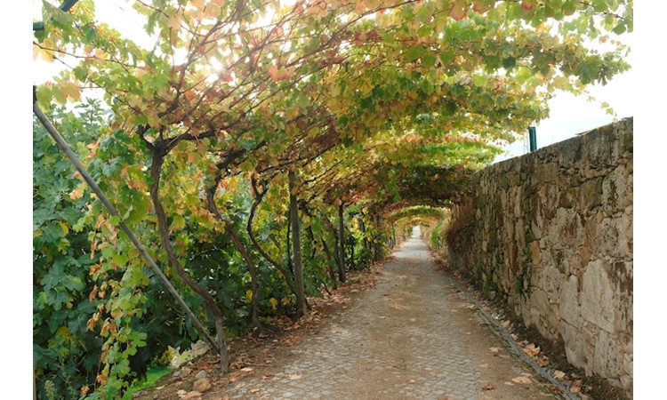 Quinta da Várzea de Abrunhais