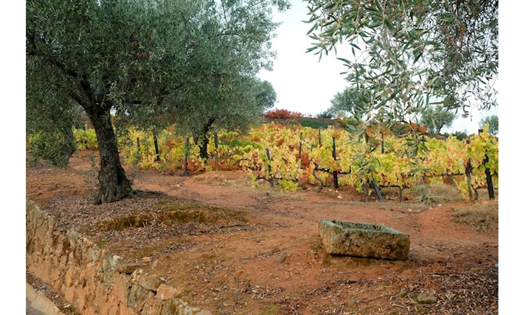 Quinta da Várzea de Abrunhais