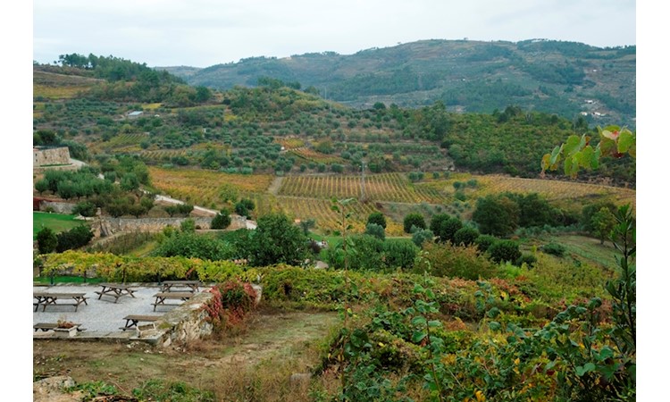 Quinta da Várzea de Abrunhais
