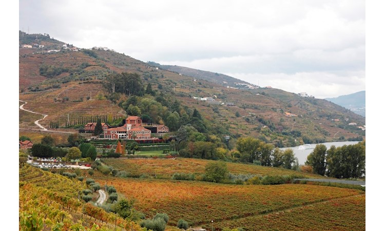 Quinta de Vale de Abraão
