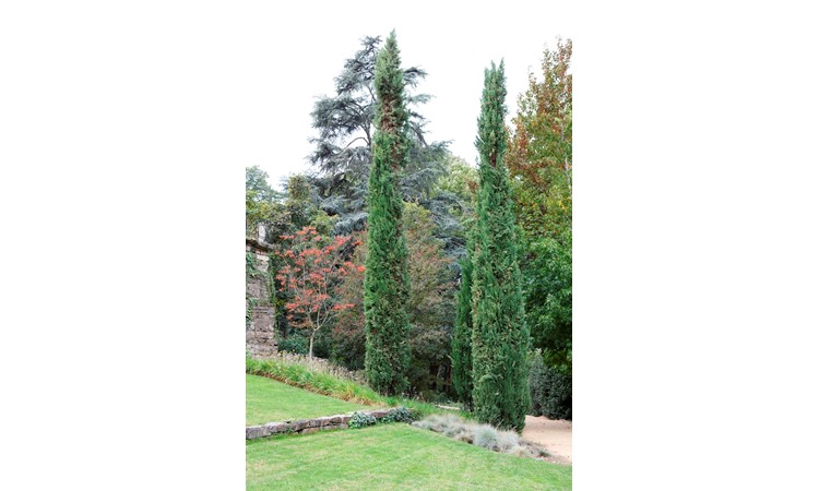 Quinta de Vale de Abraão