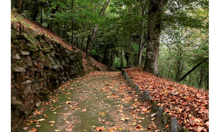 Quinta de Vale de Abraão