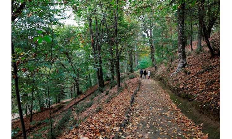 Quinta de Vale de Abraão