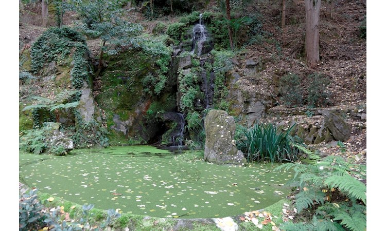 Quinta de Vale de Abraão