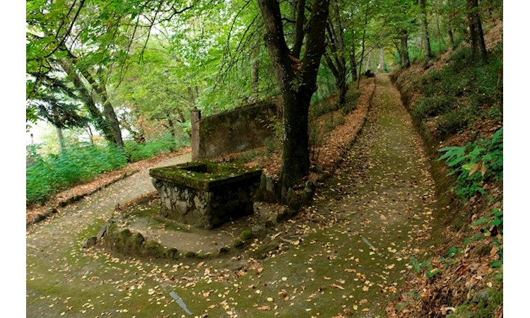 Quinta de Vale de Abraão