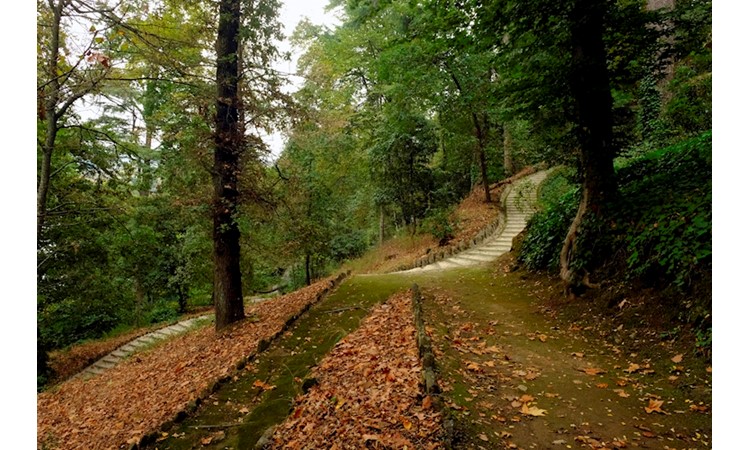 Quinta de Vale de Abraão