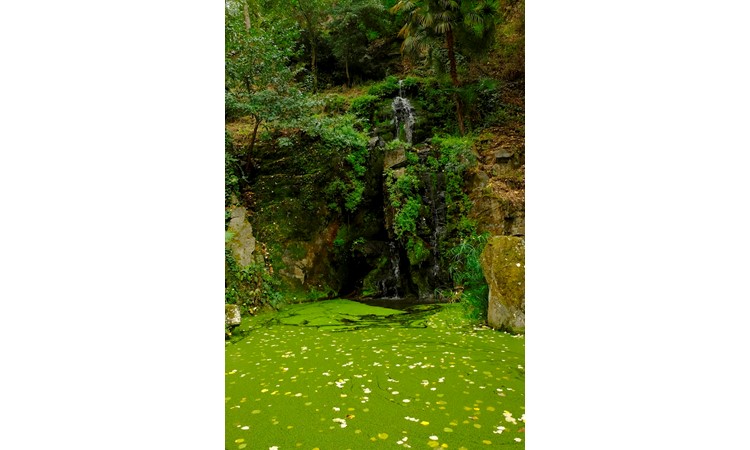 Quinta de Vale de Abraão