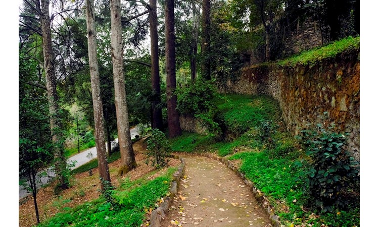 Quinta de Vale de Abraão