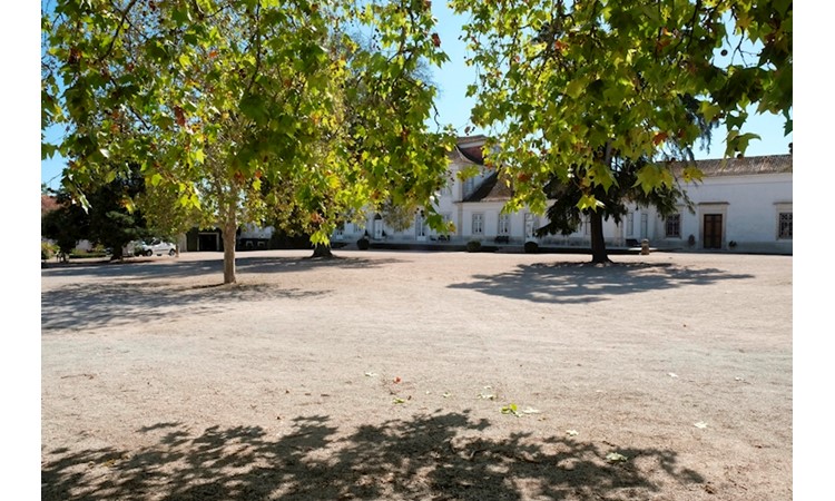 Quinta da Broa