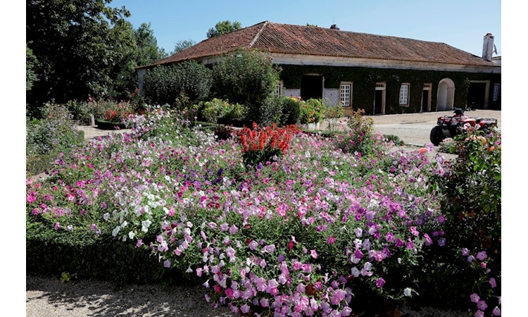 Quinta da Broa