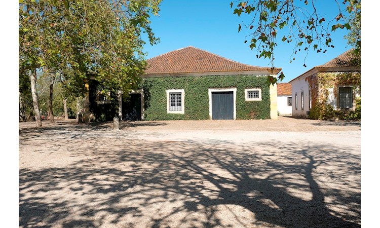 Quinta da Broa