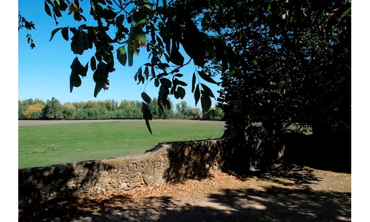 Quinta da Broa