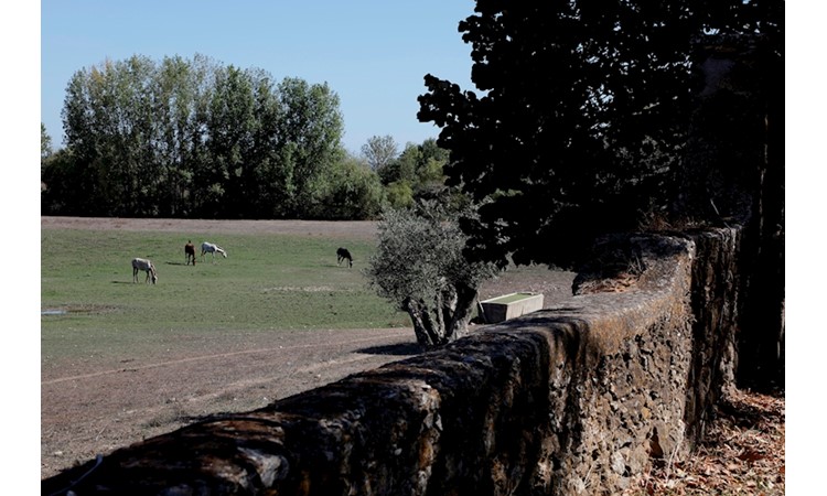 Quinta da Broa
