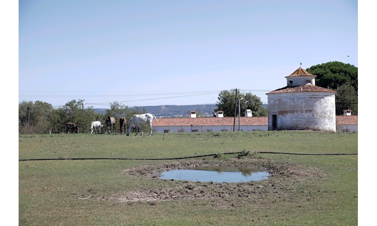 Quinta da Broa