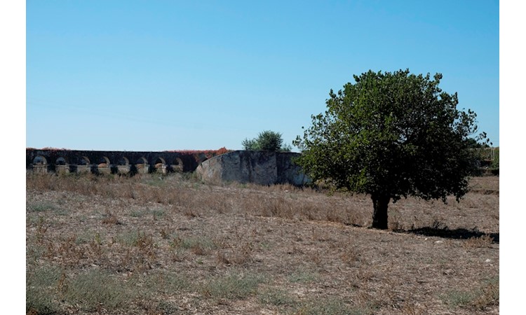 Quinta da Broa