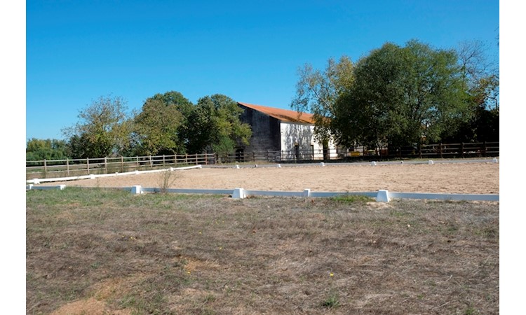 Quinta da Broa
