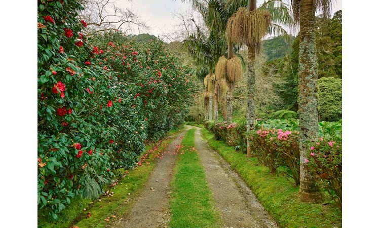 Piquinho Park