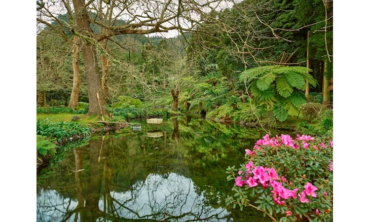Piquinho Park