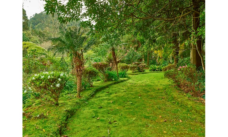 Piquinho Park