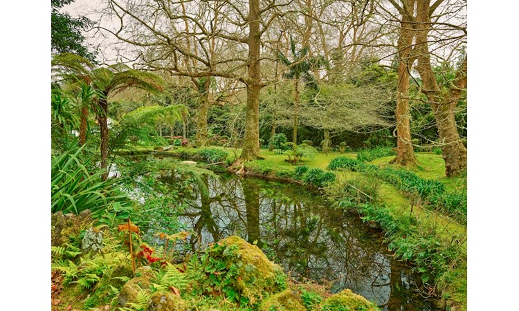 Piquinho Park
