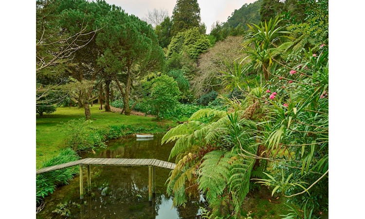 Piquinho Park