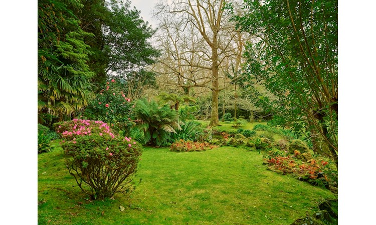 Piquinho Park