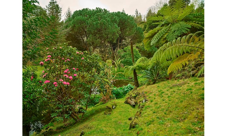 Piquinho Park