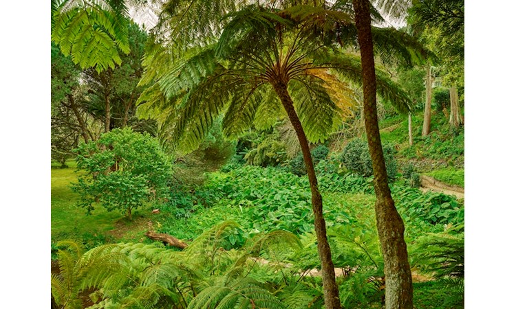 Piquinho Park