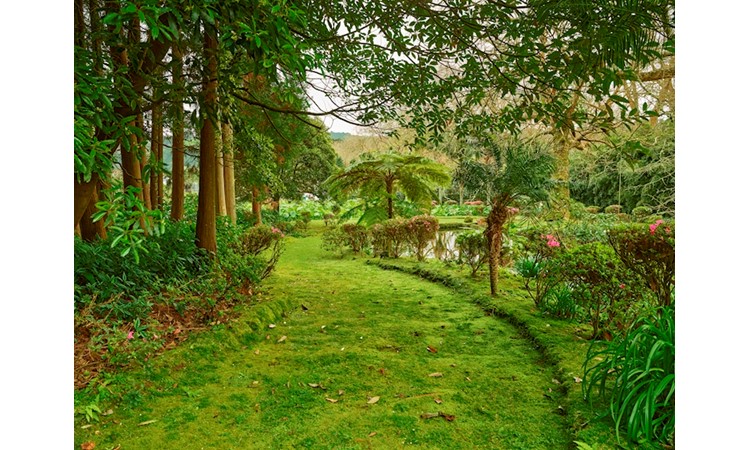 Piquinho Park