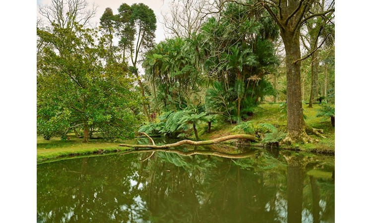 Terra Nostra Park