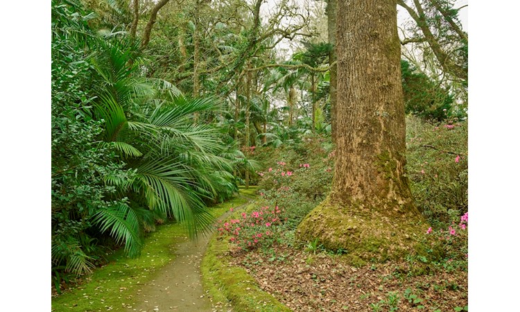 Terra Nostra Park