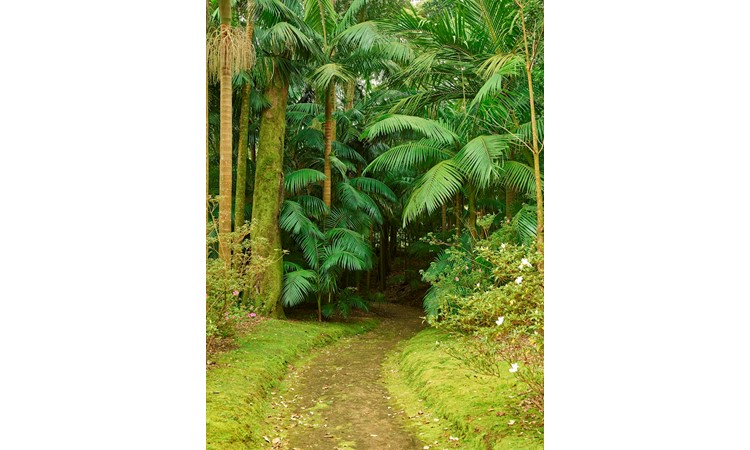 Terra Nostra Park