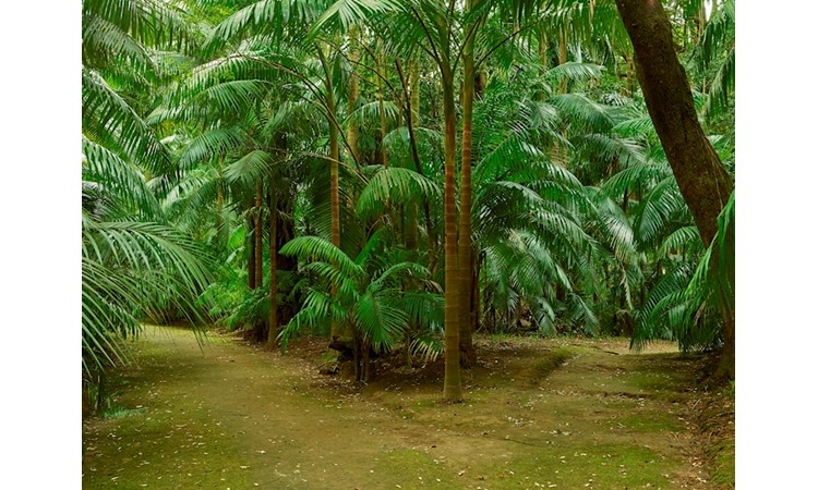 Terra Nostra Park