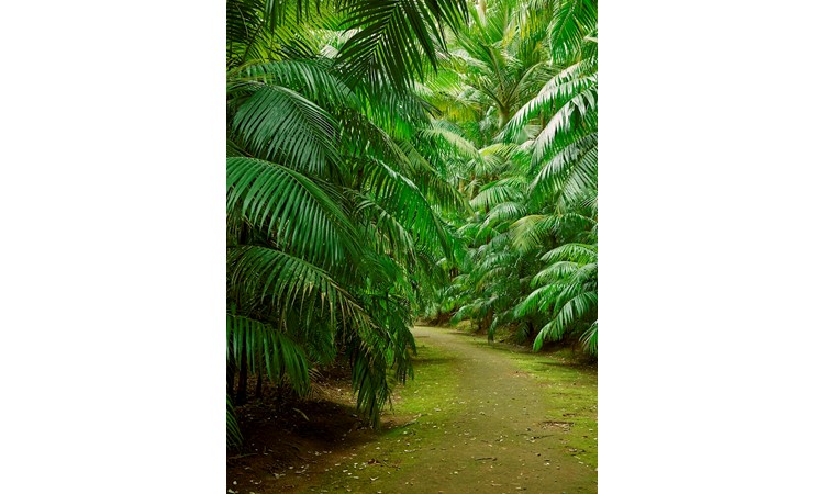 Terra Nostra Park